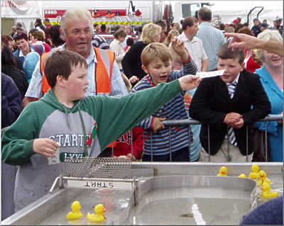 duck race